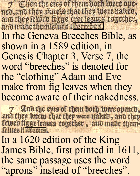 Photograph of two old printed Bible pages, one above the other, showing the text of Genesis chapter 3 verse 7 in early English type