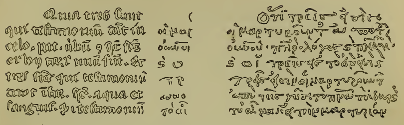 A strip of Greek minuscule handwriting from a late manuscript showing the text of 1 John 5:7 to 8