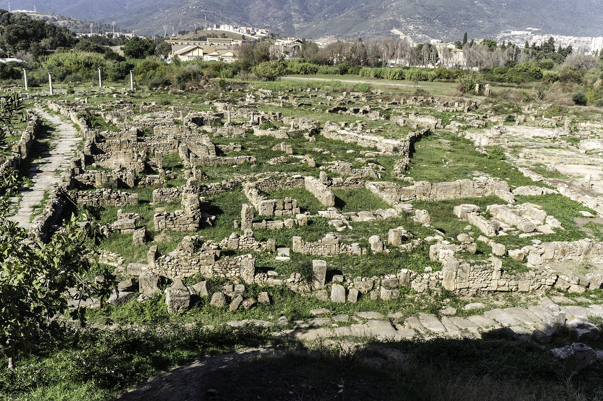 Stone walls and foundations of Roman ruins at Hippo Regius among grass and trees