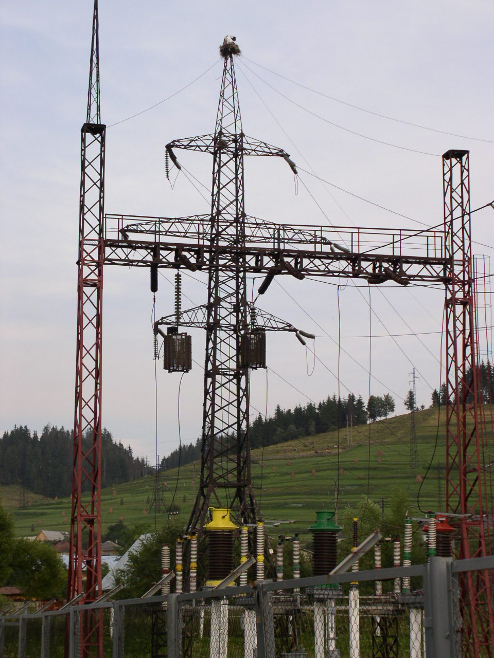 A high-voltage electrical substation in a rural setting, with steel lattice structures, insulators, switching equipment and overhead lines under a cloudy sky.