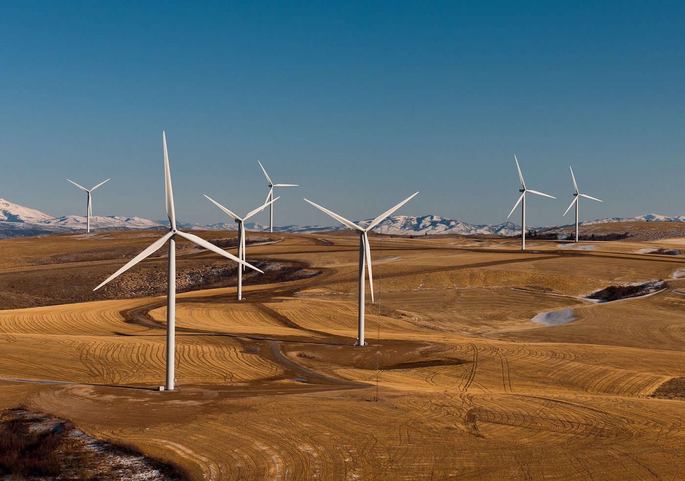 Seven white wind turbines stand on rolling tan wheat stubble, with snow-covered mountains on the horizon under a clear blue sky