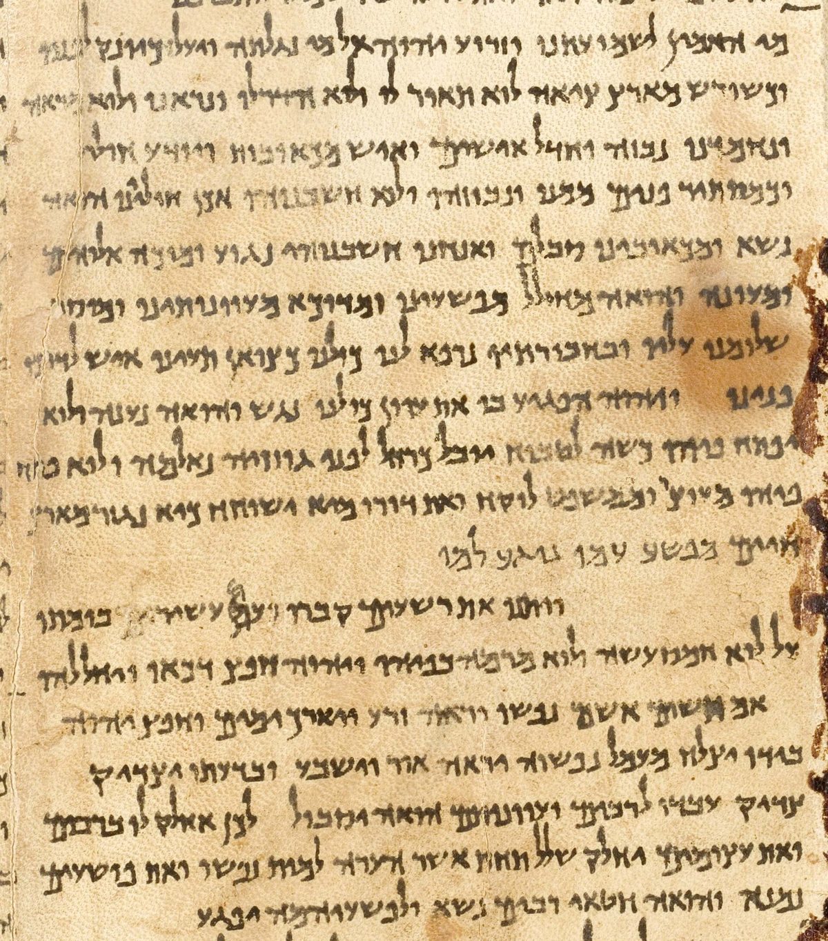 A column of handwritten square-script Hebrew on a light brown leather scroll, the Great Isaiah Scroll